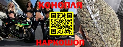 шишки Донской