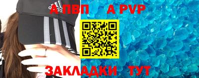 шишки Донской
