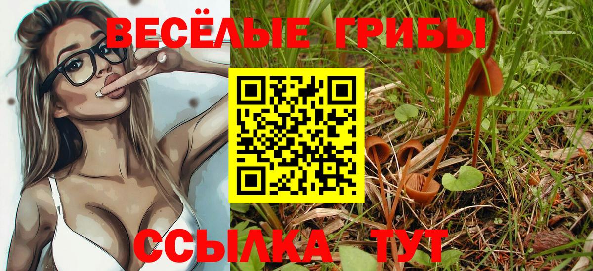 Малоярославец  Псилоцибиновые грибы Psilocybine cubensis  Вход с VPN 